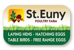 St Euny Advert