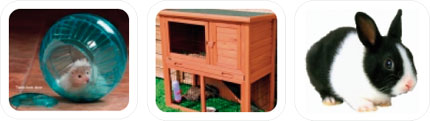 Small Animal Food